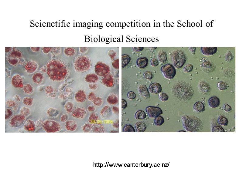 Scienctific imaging competition in the School of Biological Sciences  http://www.canterbury.ac.nz/